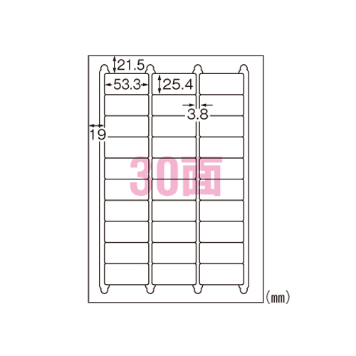 エーワン　３１３７５　レーザーラベルＡ４耐水白３０面２０シート