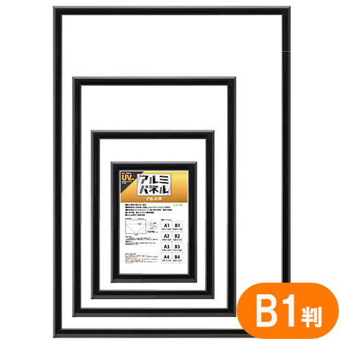 大額　５０１６－Ｂ１－Ｂ　アルパネ