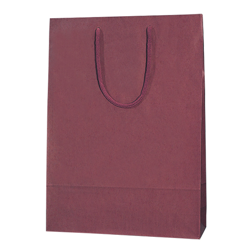 シモジマ　００５３１０１１３　カラーＣＢ　２才　臙脂