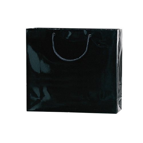 シモジマ　００６１３７９００　ブライトバッグＧＭ　黒