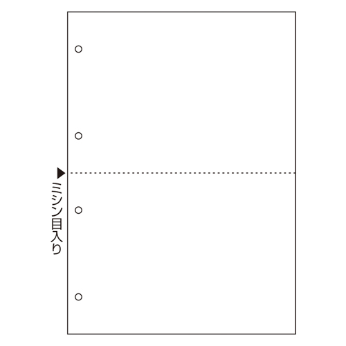 ヒサゴ　ＦＳＣＦ２００３Ｚ　Ａ４ＮＣ白紙２面４穴　大入