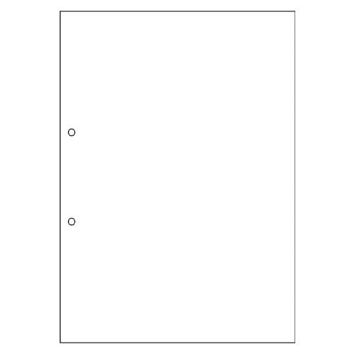 ヒサゴ　ＦＳＣＦ２００１　Ａ４ＮＣ白紙２穴