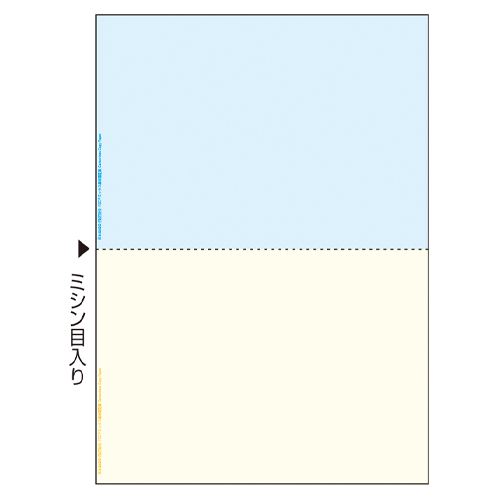 ヒサゴ　ＦＳＣＦ２０１０　Ａ４ＮＣカラー２面