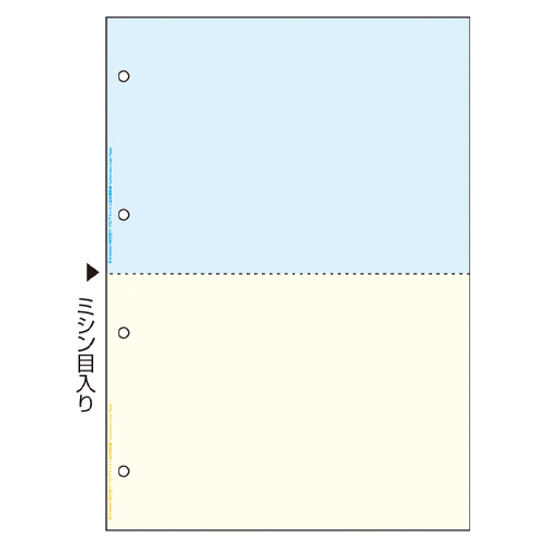 ヒサゴ　ＦＳＣＦ２０１１　Ａ４ＮＣカラー２面４穴