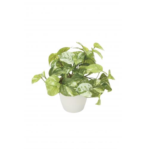 エヌケイ　ＧＦ－ＭＰ２５　光触媒人工植物／マーブルポトス