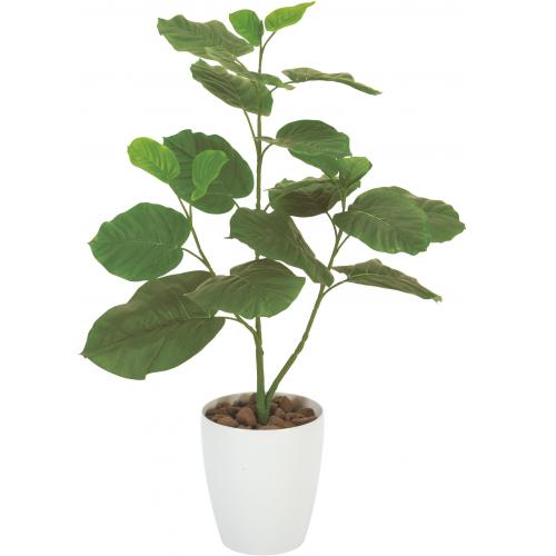 エヌケイ　ＧＦ－ＵＲ８０　光触媒人工植物／ウンベラータ