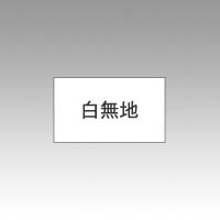 サトー　ＰＢ－１　キョウネン　シロムジ　ＰＢ－１用ラベル　白無地１０巻入　１００