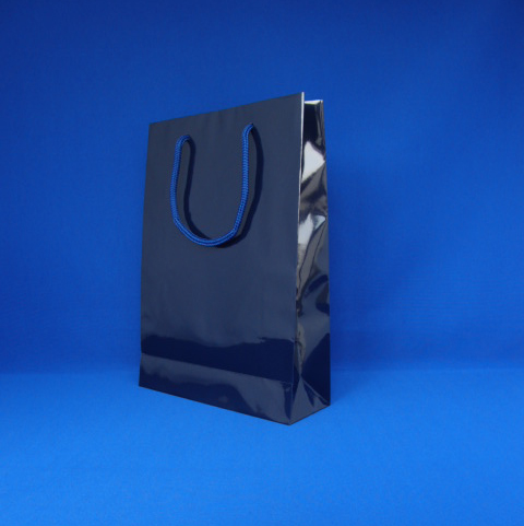 シモジマ　００６１３８２２３　ブライトバック　ＳＷＴ　紫紺　※１枚