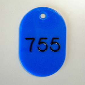 クラウン　ＣＲ－ＢＧ４８－ＢＬ　番号札　欠番〔大〕　青