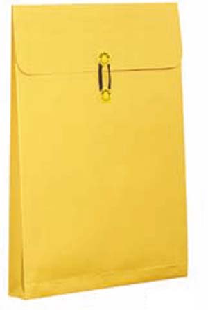 高春堂　１３２　Ａ３マチ紐付保存袋カーデックス１７７ｋｇ