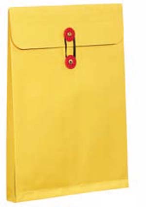 高春堂　１３４　角２マチ紐付保存袋カーデックス１７７ｋｇ