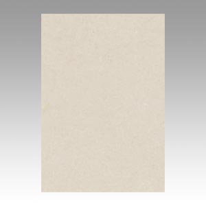 リンテック　ＧＯ８ＮＣＲ－１１３　ニューカラー８切１００枚　あかるいはいい