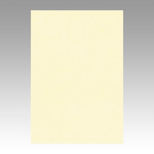 リンテック　ＧＯ８ＮＣＲ－１１２　ニューカラー８切１００枚　うすクリーム