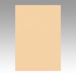 リンテック　ＧＯ８ＮＣＲ－１１１　ニューカラー８切１００枚　しらちゃ