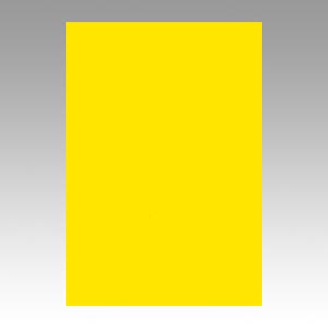 リンテック　ＧＯ８ＮＣＲ－３１８　ニューカラー８切１００枚　ひまわり