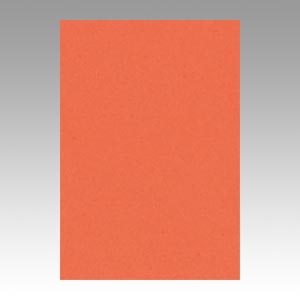 リンテック　ＧＯ８ＮＣＲ－２１３　ニューカラー８切１００枚　だいだい