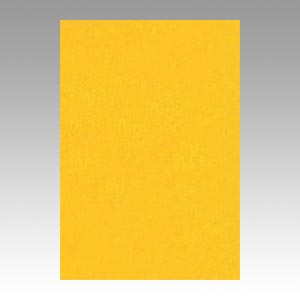 リンテック　ＧＯ８ＮＣＲ－２３７　ニューカラー８切１００枚　みかん