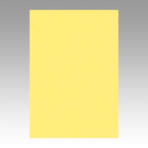 リンテック　ＧＯ８ＮＣＲ－１０８　ニューカラー８切１００枚　きいろ