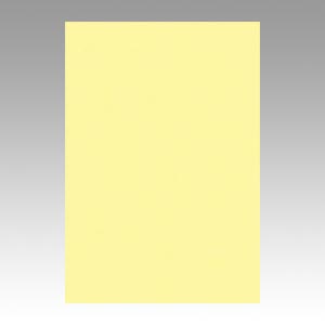 リンテック　ＧＯ８ＮＣＲ－１３４　ニューカラー８切１００枚　ライトイエロー