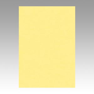 リンテック　ＧＯ８ＮＣＲ－１０１　ニューカラー８切１００枚　クリーム