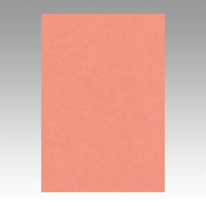 リンテック　ＧＯ８ＮＣＲ－１２７　ニューカラー８切１００枚　サーモン