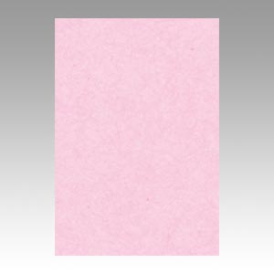 リンテック　ＧＯ８ＮＣＲ－２１８　ニューカラー８切１００枚　さくら