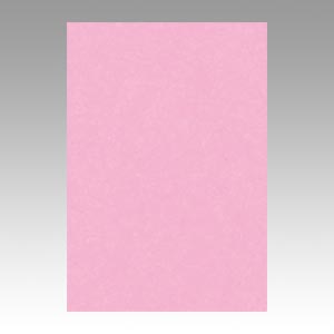 リンテック　ＧＯ８ＮＣＲ－２３４　ニューカラー８切１００枚　ときいろ