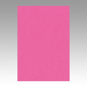 リンテック　ＧＯ８ＮＣＲ－２３２　ニューカラー８切１００枚　こいもも