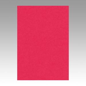 リンテック　ＧＯ８ＮＣＲ－３２５　ニューカラー８切１００枚　ぼたんいろ