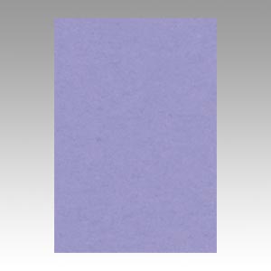 リンテック　ＧＯ８ＮＣＲ－２１７　ニューカラー８切１００枚　ふじむらさき