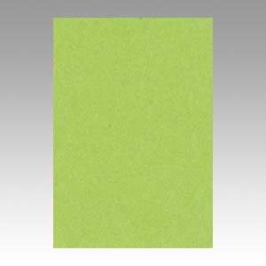 リンテック　ＧＯ８ＮＣＲ－２１２　ニューカラー８切１００枚　きみどり