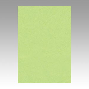 リンテック　ＧＯ８ＮＣＲ－２４３　ニューカラー８切１００枚　わかくさ