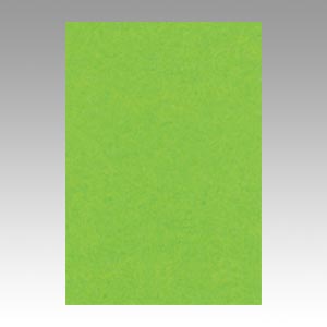 リンテック　ＧＯ８ＮＣＲ－２３８　ニューカラー８切１００枚　こいきみどり