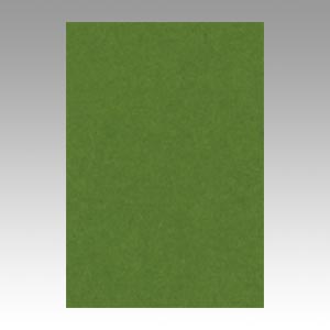 リンテック　ＧＯ８ＮＣＲ－３１６　ニューカラー８切１００枚　オリーブ