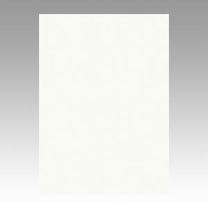 リンテック　ＧＯ４ＮＣＲ－１５２　ニューカラー４切１００枚　ミルク