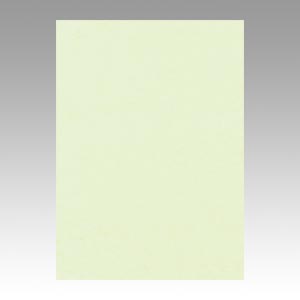 リンテック　ＧＯ４ＮＣＲ－１３３　ニューカラー４切１００枚　メロン