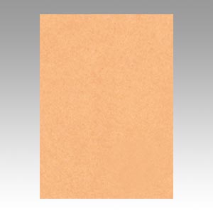 リンテック　ＧＯ４ＮＣＲ－１０９　ニューカラー４切１００枚　うすちゃ