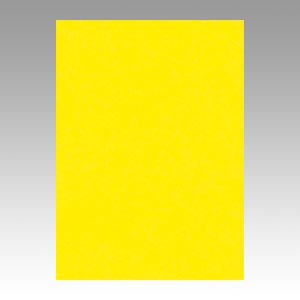 リンテック　ＧＯ４ＮＣＲ－３１９　ニューカラー４切１００枚　レモン