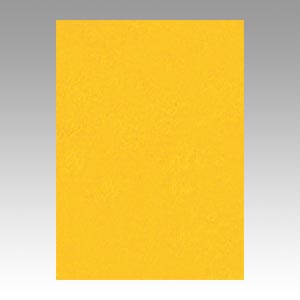 リンテック　ＧＯ４ＮＣＲ－２３７　ニューカラー４切１００枚　みかん