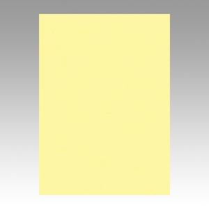 リンテック　ＧＯ４ＮＣＲ－１３４　ニューカラー４切１００枚　ライトイエロー