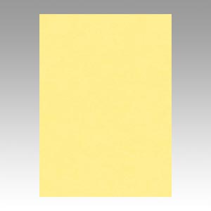 リンテック　ＧＯ４ＮＣＲ－１０１　ニューカラー４切１００枚　クリーム