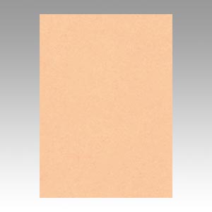 リンテック　ＧＯ４ＮＣＲ－１０３　ニューカラー４切１００枚　うすだいだい