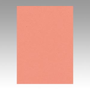 リンテック　ＧＯ４ＮＣＲ－１２７　ニューカラー４切１００枚　サーモン