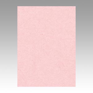 リンテック　ＧＯ４ＮＣＲ－１０２　ニューカラー４切１００枚　うすもも