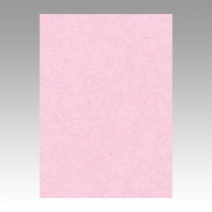 リンテック　ＧＯ４ＮＣＲ－２１８　ニューカラー４切１００枚　さくら