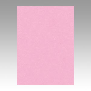 リンテック　ＧＯ４ＮＣＲ－２３４　ニューカラー４切１００枚　ときいろ