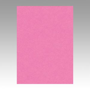 リンテック　ＧＯ４ＮＣＲ－２４２　ニューカラー４切１００枚　ももいろ