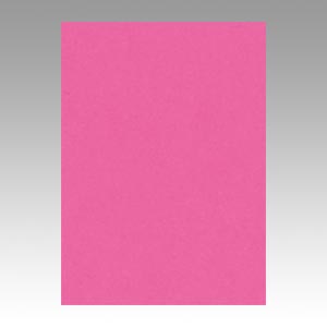 リンテック　ＧＯ４ＮＣＲ－２３２　ニューカラー４切１００枚　こいもも