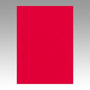 リンテック　ＧＯ４ＮＣＲ－３１７　ニューカラー４切１００枚　あか