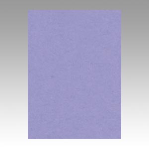 リンテック　ＧＯ４ＮＣＲ－２１７　ニューカラー４切１００枚　ふじむらさき